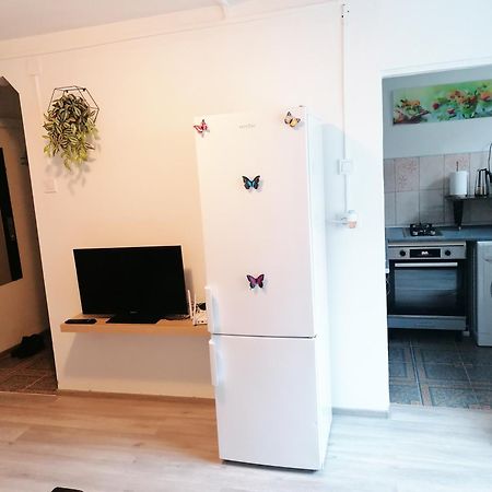 Romanilor - Studio First Floor Дева Экстерьер фото