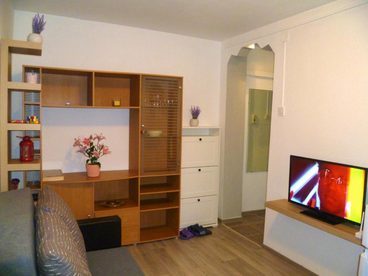Romanilor - Studio First Floor Дева Экстерьер фото