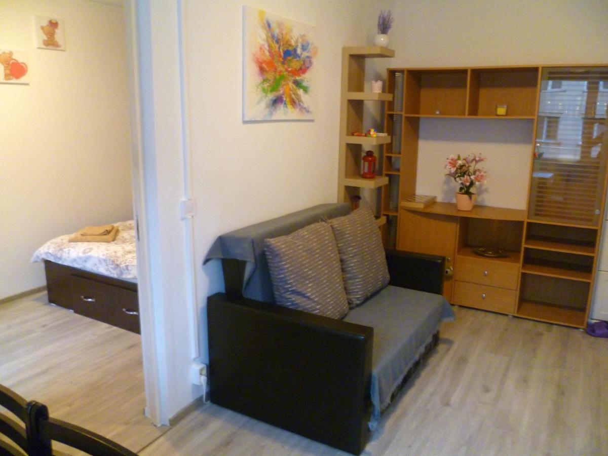 Romanilor - Studio First Floor Дева Экстерьер фото
