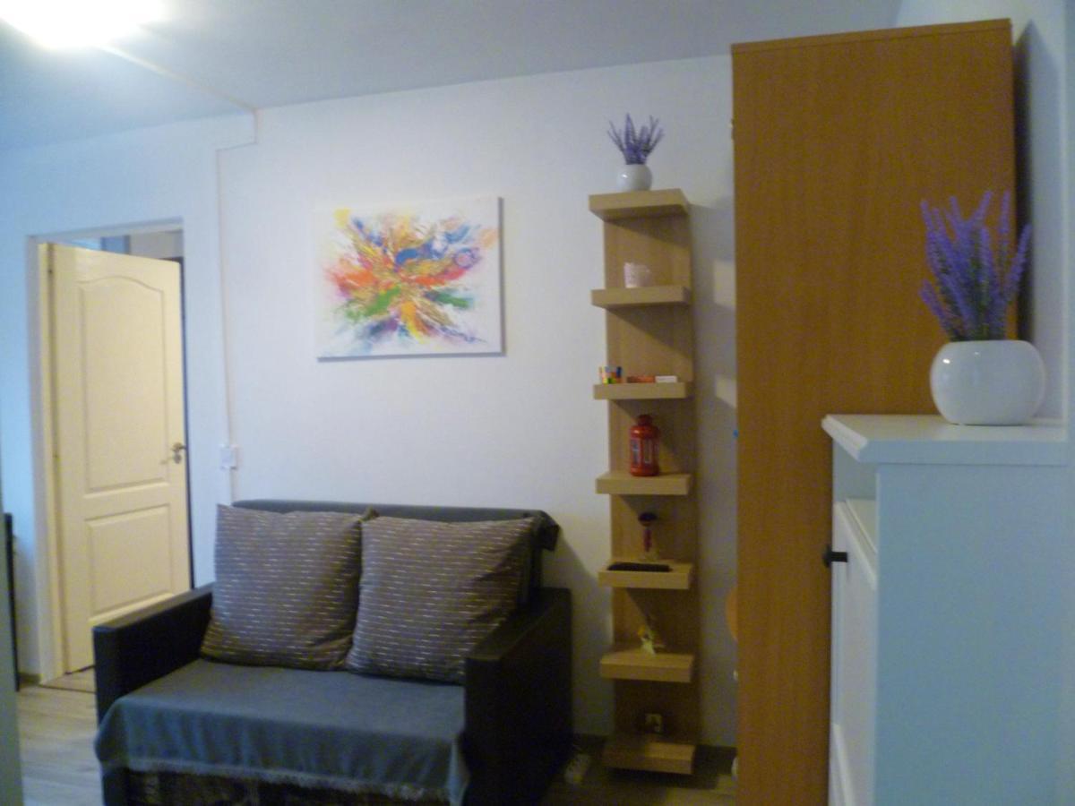 Romanilor - Studio First Floor Дева Экстерьер фото